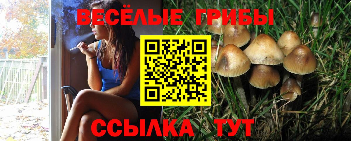 Галлюциногенные грибы MAGIC MUSHROOMS Лосино-Петровский