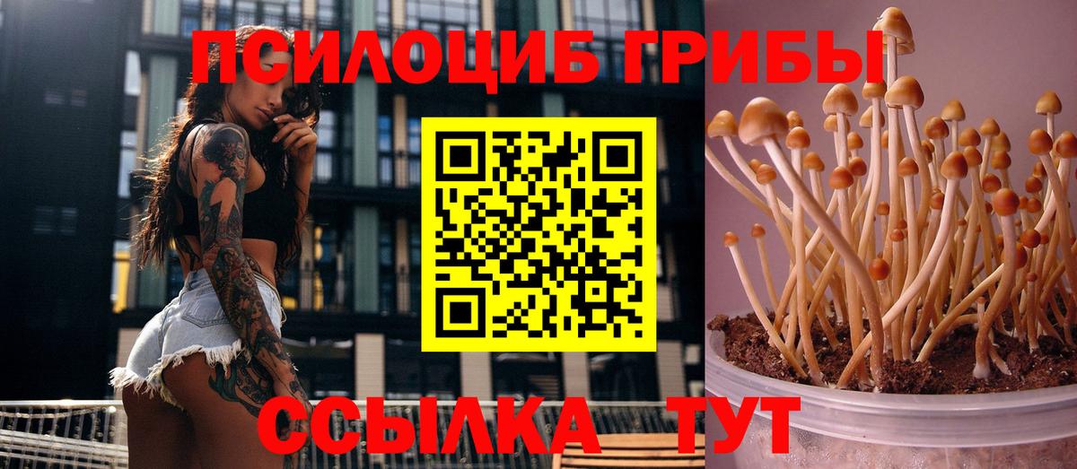 Псилоцибиновые грибы Magic Shrooms  Вход с VPN  Лосино-Петровский  Псилоцибиновые грибы Magic Shrooms 